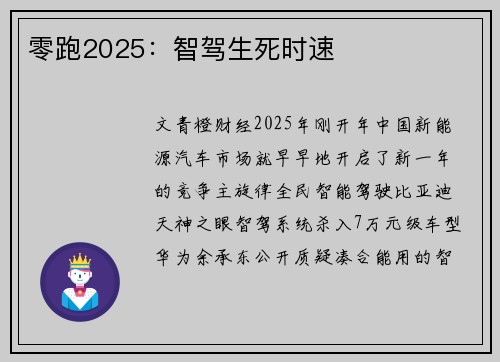 零跑2025：智驾生死时速