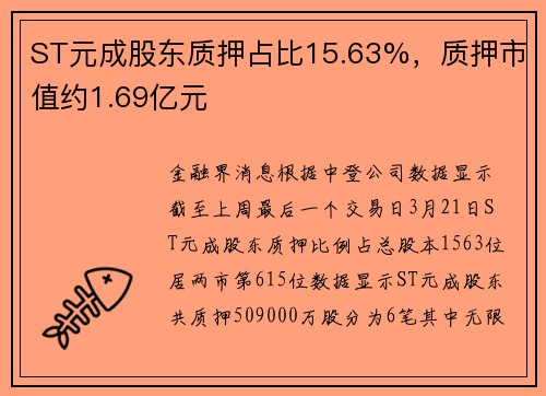 ST元成股东质押占比15.63%，质押市值约1.69亿元
