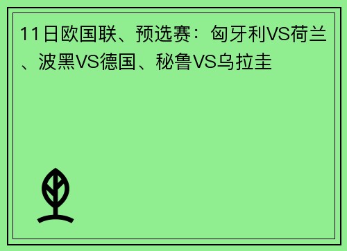 11日欧国联、预选赛：匈牙利VS荷兰、波黑VS德国、秘鲁VS乌拉圭